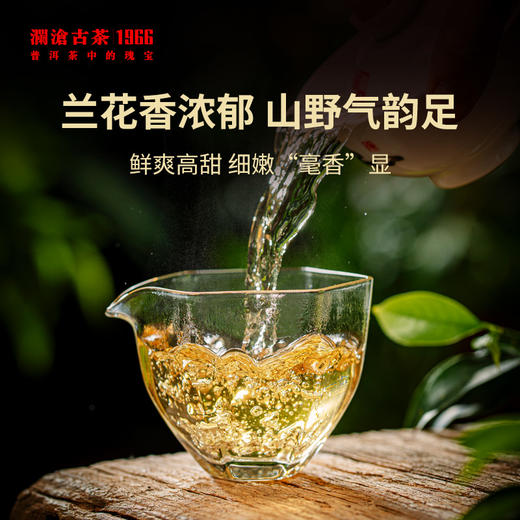 澜沧古茶2022年景迈春香大饼普洱茶生茶云南茶叶生普春茶 商品图3