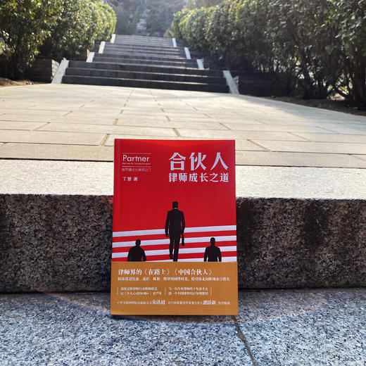 合伙人  律师成长之道 丁慧 著 小说 商品图3