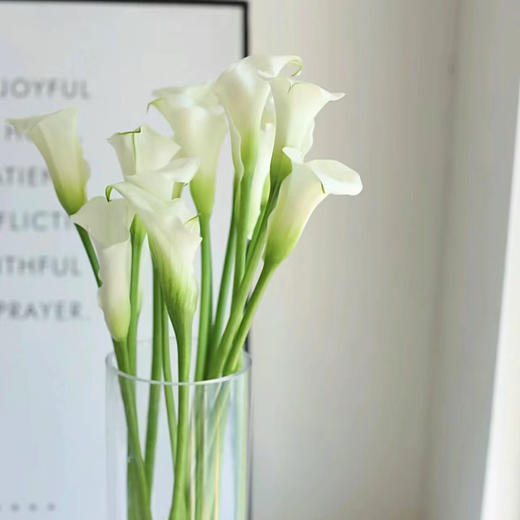 马蹄莲丨白色丨草花【特殊花材需特别养护】｜单拍不发 商品图3