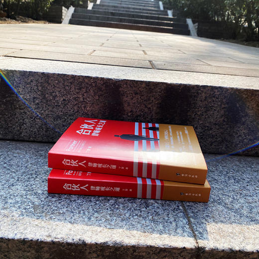 合伙人  律师成长之道 丁慧 著 小说 商品图4