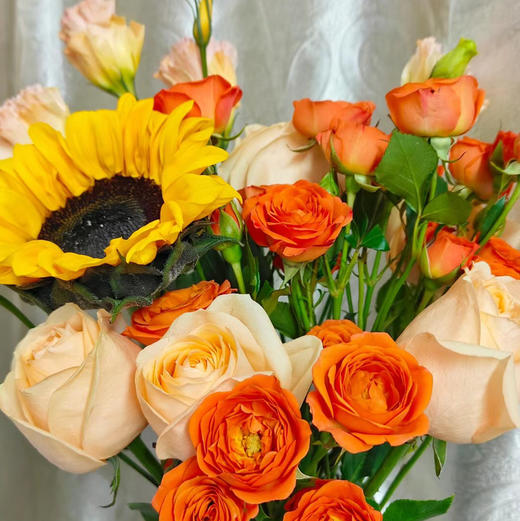 〔晴朗〕 商品图1