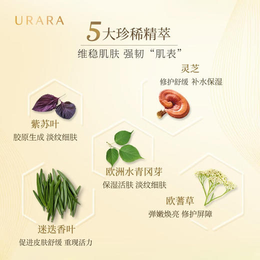 悠莱焕源肌活精华露补水保湿护肤品精华露（60ml) 商品图3