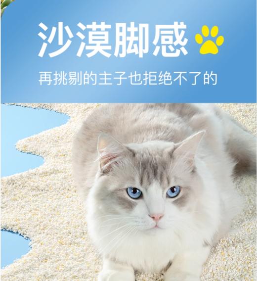 无尘猫猫砂 商品图2