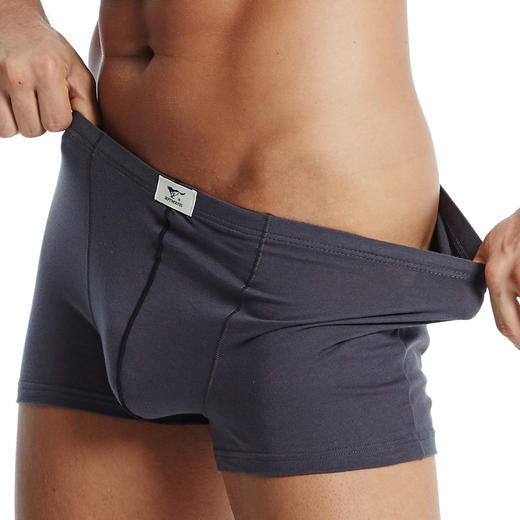 七匹狼男士全棉平角裤2条装03343-2 商品图2