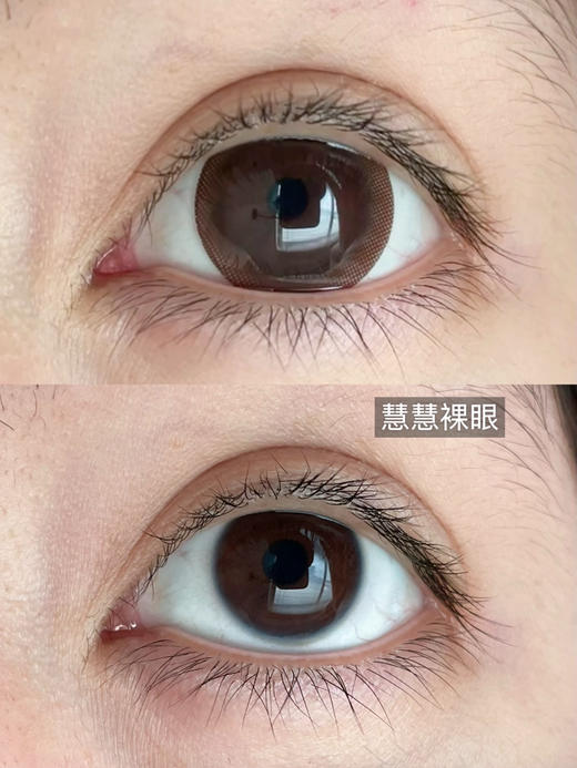 【店主实拍】偏大着色/超大布朗尼14.5mm 【年抛 0-1000度 含525/575】 商品图1