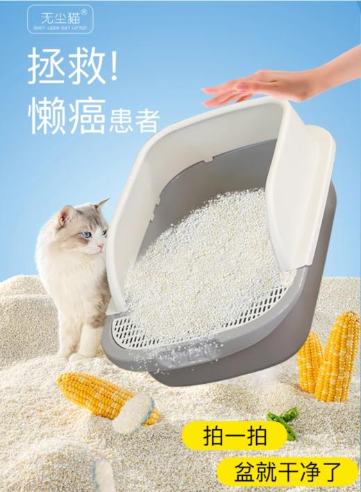 无尘猫猫砂 商品图4