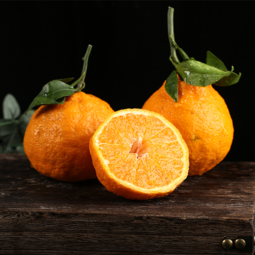 不知火丑橘（2024）| 新鲜采摘，香甜味美，脆嫩化渣