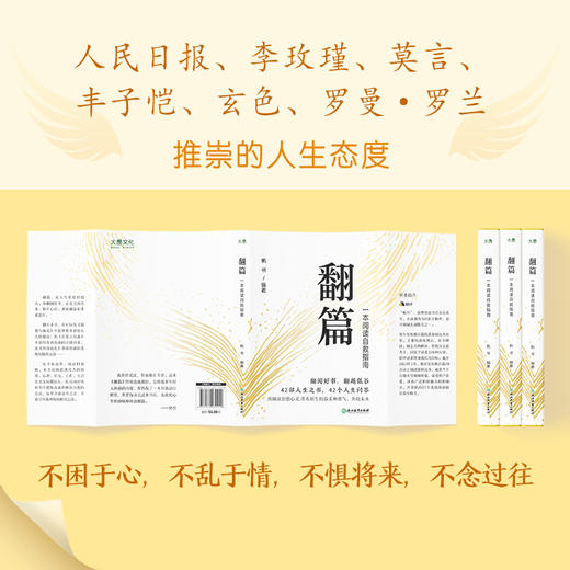 翻篇 一本阅读自救指南 商品图2