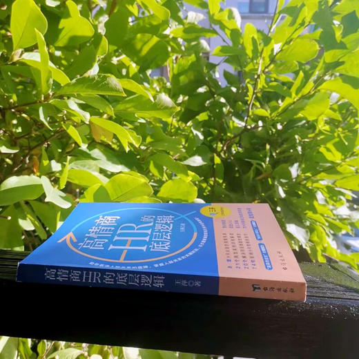 高情商HR的底层逻辑 王萍 著 管理 商品图2