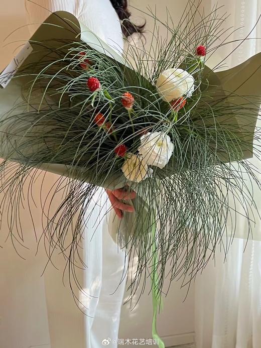 叶材 | 木麻黄 商品图0