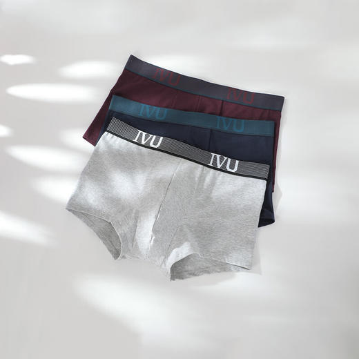 【3F】安莉芳IVU男士薄款棉质内裤舒适透气中腰平角裤3条装UP30050 商品图3