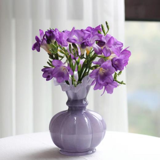 香雪兰丨紫色丨草花 商品图1