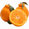 不知火丑橘（2024）| 新鲜采摘，香甜味美，脆嫩化渣 商品缩略图3
