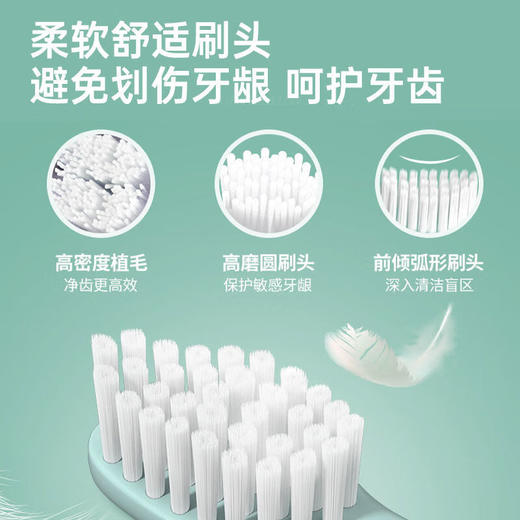 海尔电动牙刷男女士专用款软毛成人情侣套装声波全自动HTM1-5155 海尔电动牙刷男女士专用款软毛成人情侣套装声波全自动 商品图2