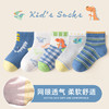 新款儿童A类袜子春夏季薄款男女童棉袜网眼卡通恐龙中大童透气短袜聚 商品缩略图1
