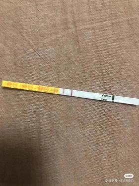 赶上兔宝宝的末班车~