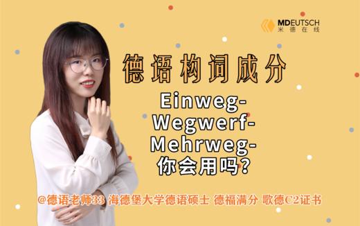 德语构词：Einweg-, Wegwerf和Mehrweg-你会用吗 商品图0