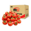 普罗旺斯西红柿番茄 5斤装 FX-A-2261-240410 商品缩略图14
