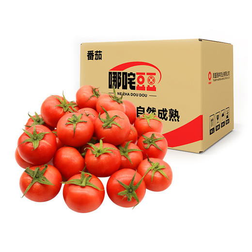 普罗旺斯西红柿番茄 5斤装 FX-A-2261-240410 商品图14