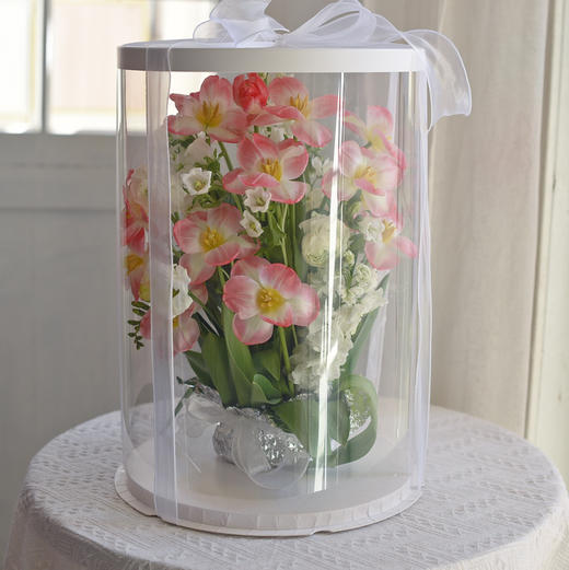 《词不达意，可寄春风》粉色郁金香白色紫罗兰透视花盒 商品图4