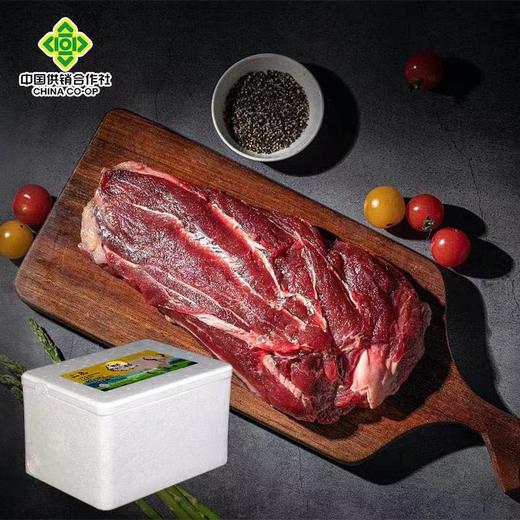 牦牛牛腩 5斤装 商品图0