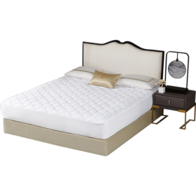 whinny/惠谊床护垫 防滑保暖床笠式可折叠床垫 床垫福瑞床护垫