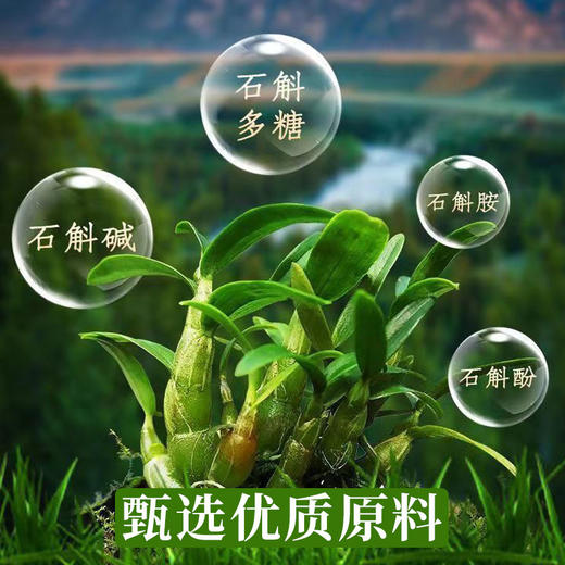 【买5送5】霍山石斛原浆 开袋即饮石斛原浆饮150ml 商品图3