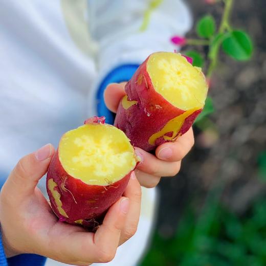 海南 鸣门金时地瓜   红薯 商品图0