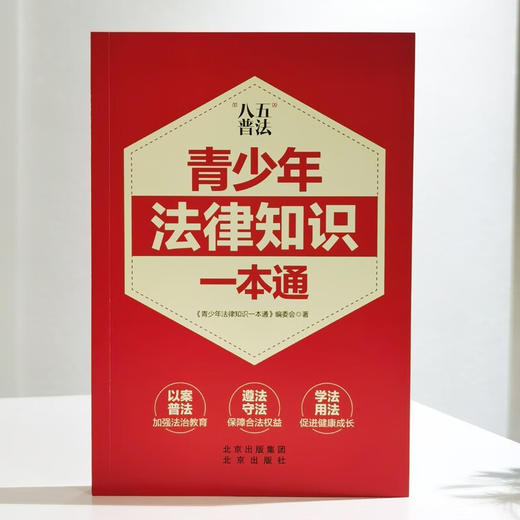 青少年法律知识一本通 《青少年法律知识一本通》编委会 著 法律 商品图2