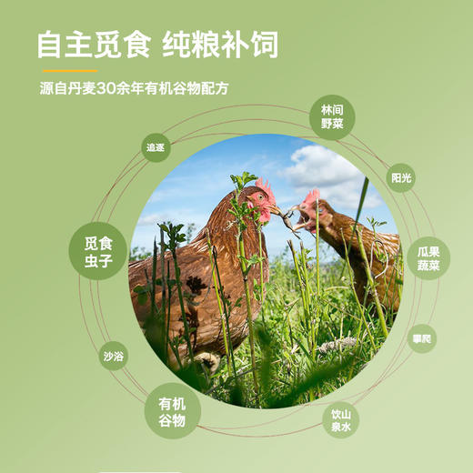 有机500天老母鸡 净重1.1kg以上（顺丰冷链冻品配送） 商品图4