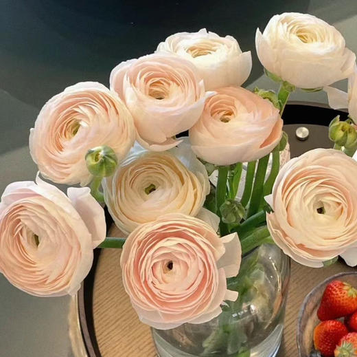 配花-河内洋牡丹-香槟色-5支 商品图1