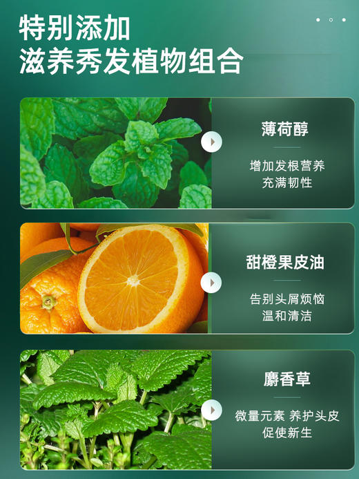 柳屋 头皮营养液 柑橘香 240ml 商品图2