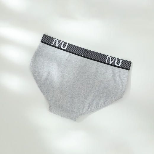 【3F】安莉芳IVU男士薄款棉质内裤舒适透气中腰三角裤3条装UP30049 商品图2