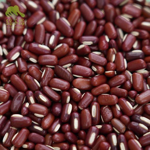 生态赤小豆 | 合作生产*Ecological QianDongNan Ormosia | Coproduction 商品图0