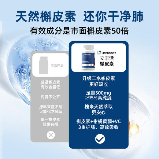 槲皮素胶囊 肺部健康 支持免疫力 商品图4