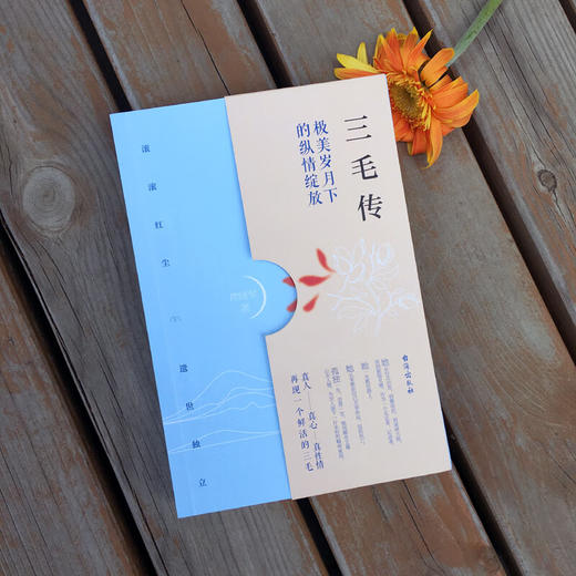 三毛传 常晓军 著 传记 商品图2