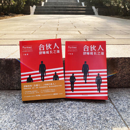 合伙人  律师成长之道 丁慧 著 小说 商品图1