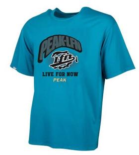 匹克2024年夏季新款乐活系列男款圆领短T恤F6242915