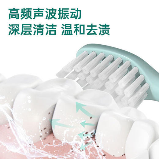 海尔电动牙刷男女士专用款软毛成人情侣套装声波全自动HTM1-5155 海尔电动牙刷男女士专用款软毛成人情侣套装声波全自动 商品图1