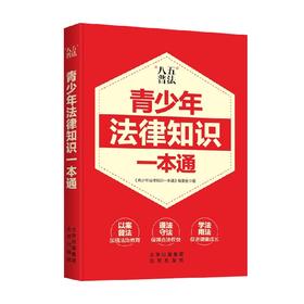 青少年法律知识一本通 《青少年法律知识一本通》编委会 著 法律