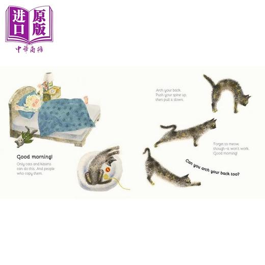 【中商原版】猫猫的节日 Iku Dekune Our Cats Day 英文原版 儿童绘本 动物故事图画书 精装精品绘本 进口童书 3-6岁 宠物主题 商品图1