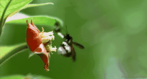  又一强强合作！首轮龙年生肖邮票纪念金，中邮+中黄999足金打造，龙跃金上！ 