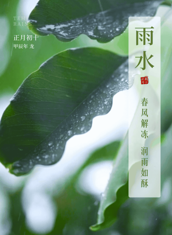 雨水 | 春风解冻，润雨如酥