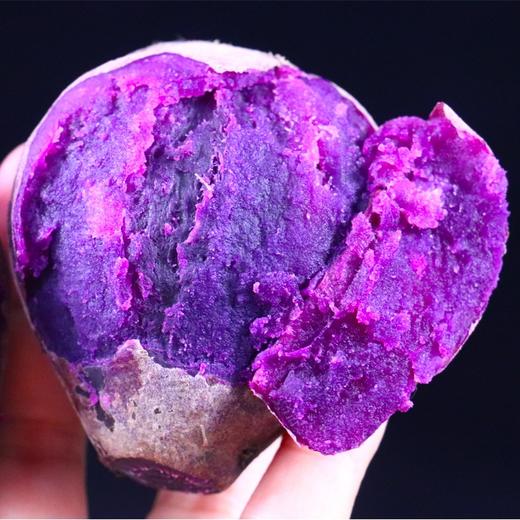【现挖现发！鲜甜香糯的紫薯】软糯绵密，香甜粗粮，蒸着吃烤着吃都无比美味香甜的番薯 商品图1