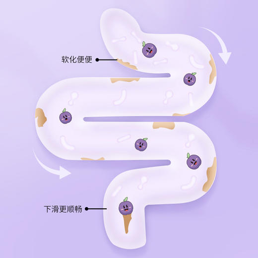 古田森西梅纤维果饮*3瓶 商品图3