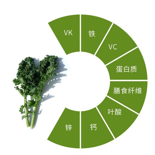 【买2赠1】轻食怪有机羽衣甘蓝粉 膳食纤维天然蔬菜粉75g 商品图3