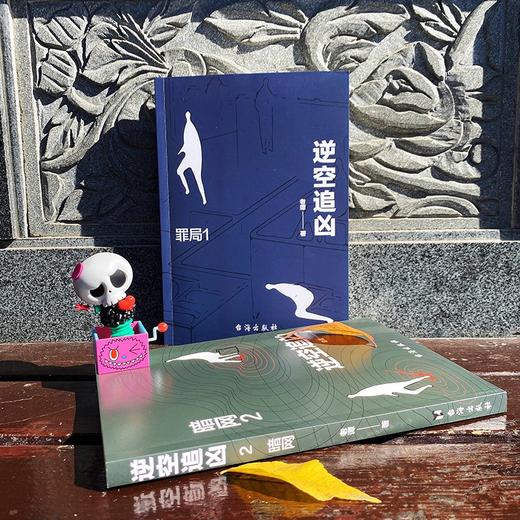 逆空追凶  罪局+暗网 老谭 著 小说 商品图2