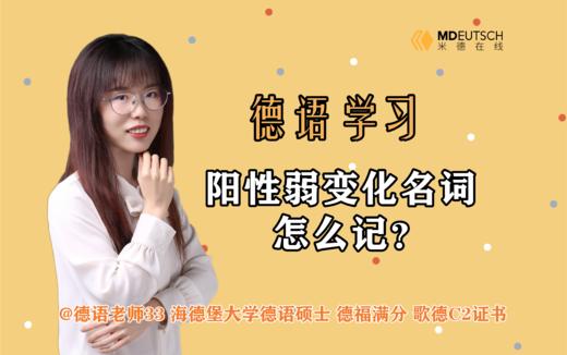 阳性弱变化名词怎么记 商品图0