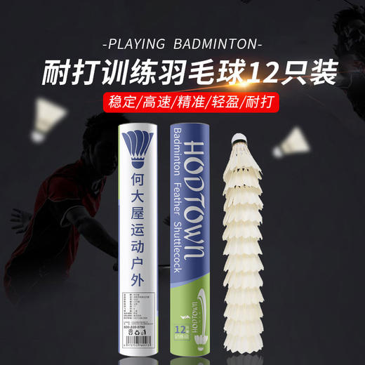 何大屋训练羽毛球12只装S500 商品图0