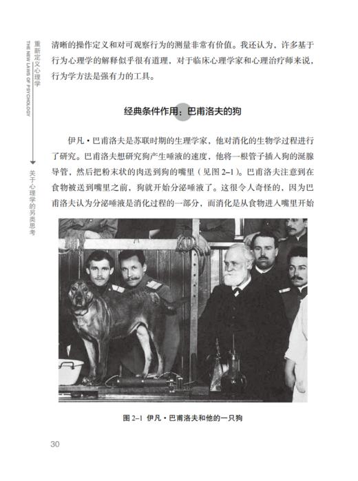 《重新定义心理学：关于心理学的另类思考》 商品图12